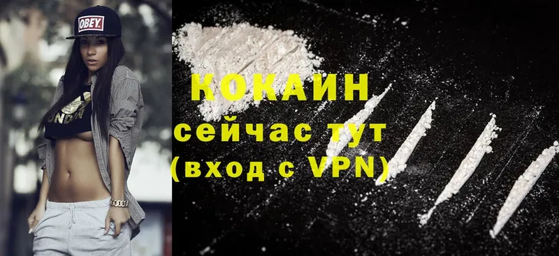 Cocaine Эквадор  мега   Пудож 